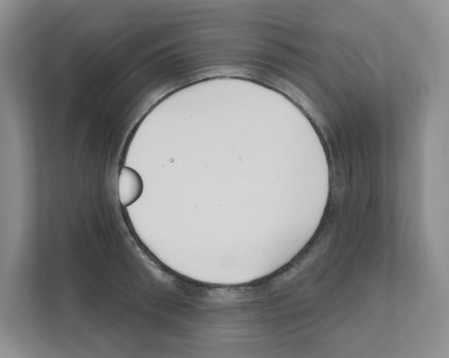 X0000111420898200908241129