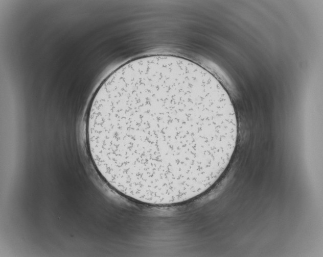 X0000111420900200908241129