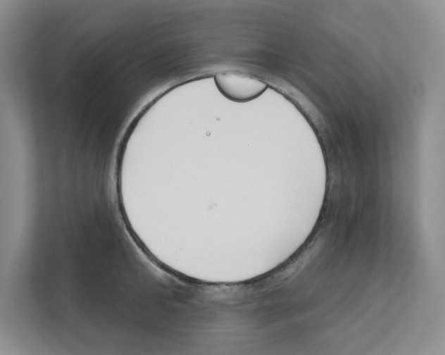 X0000111420902200908241129