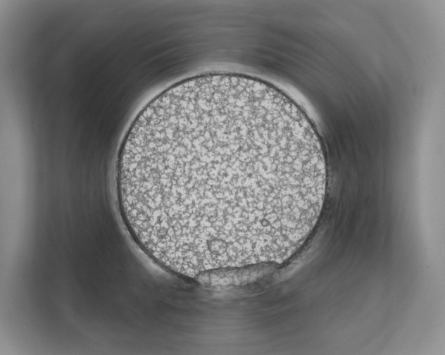 X0000111420903200908241129