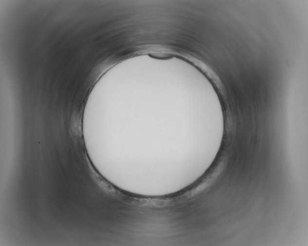 X0000111420905200908241129
