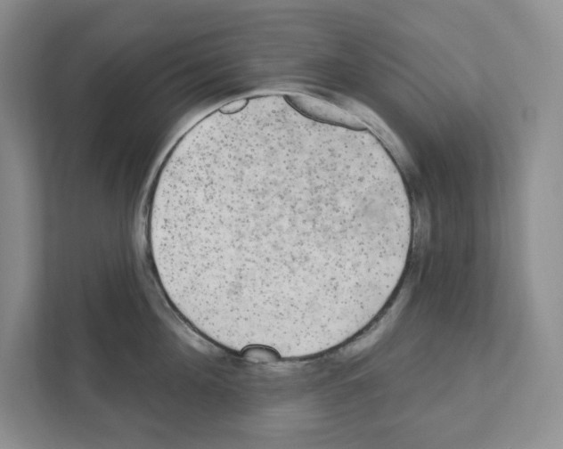 X0000111420908200908241129