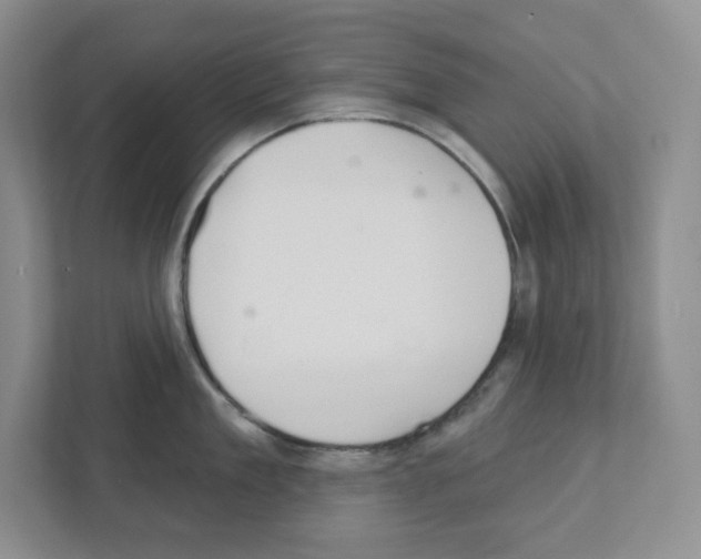 X0000111420909200908241129