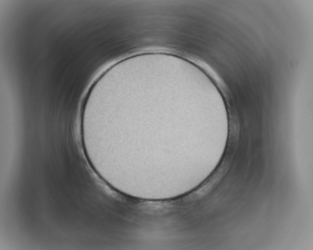 X0000111420910200908241129