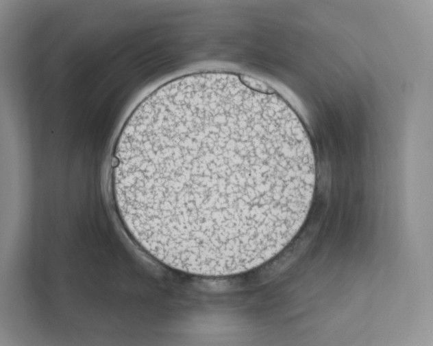 X0000111420911200908241129
