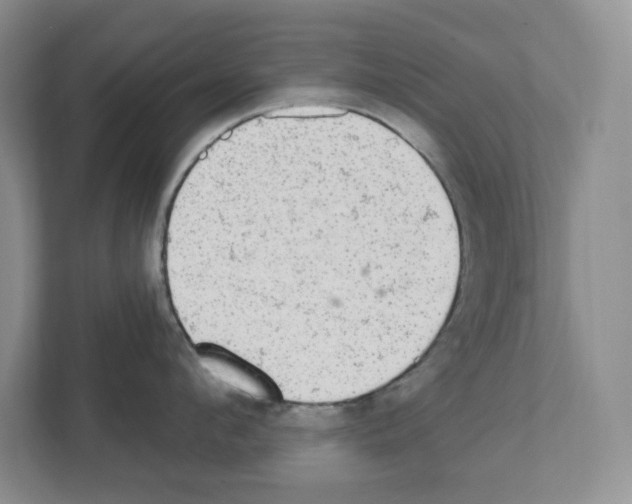 X0000111420912200908241129