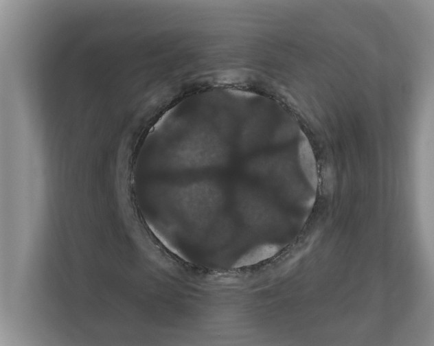 X0000111420913200908241129
