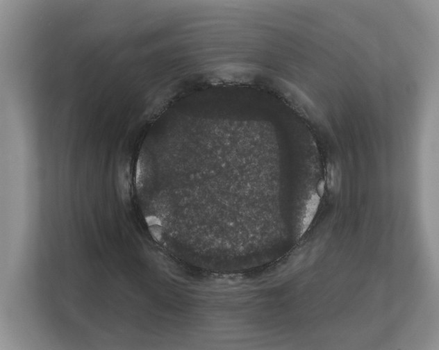 X0000111420915200908241129