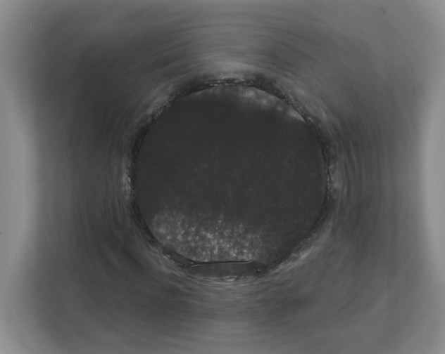 X0000111420916200908241129