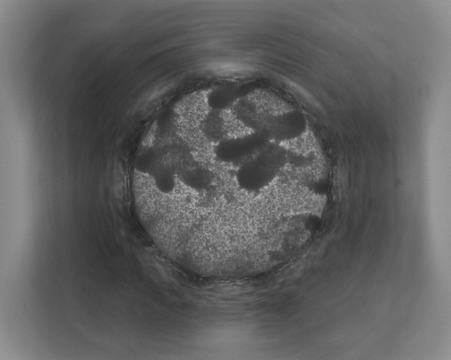 X0000111420917200908241129