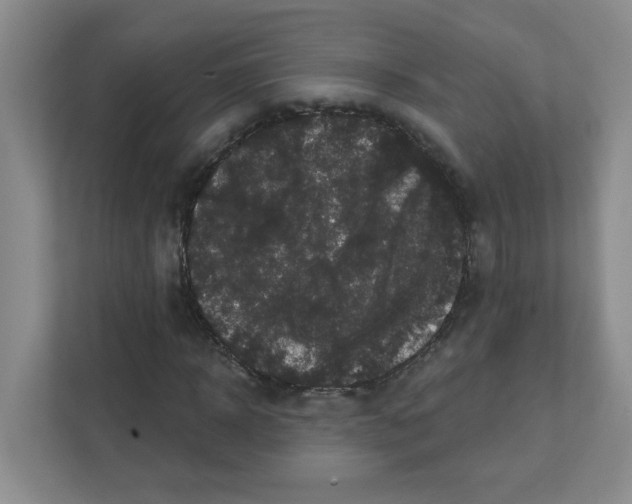 X0000111420918200908241129