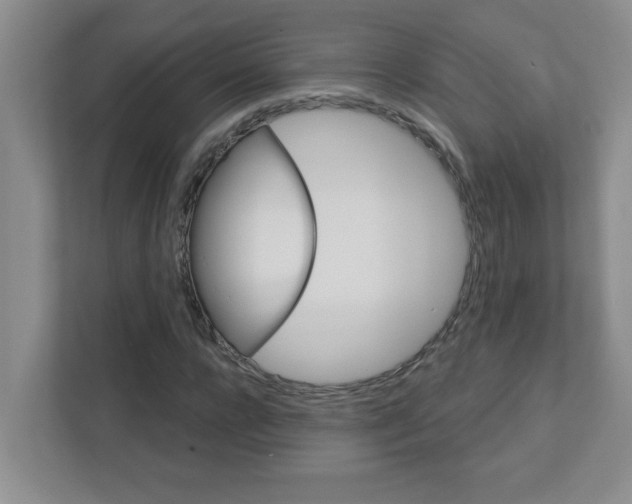 X0000111420920200908241129