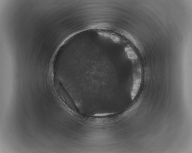 X0000111420923200908241129