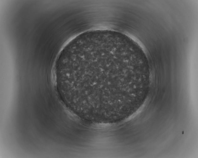 X0000111420925200908241129