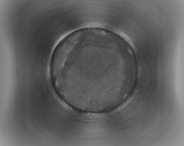 X0000111420928200908241129