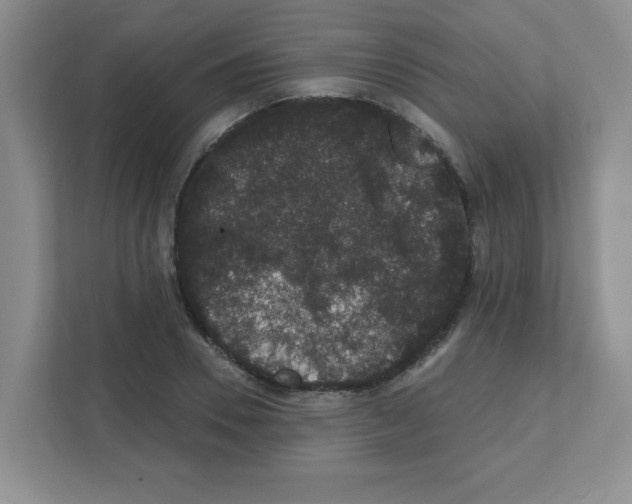 X0000111420930200908241129