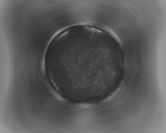 X0000111420932200908241129