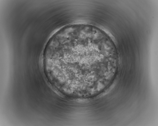 X0000111420933200908241129