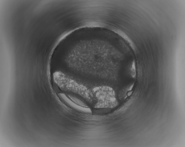 X0000111420935200908241129