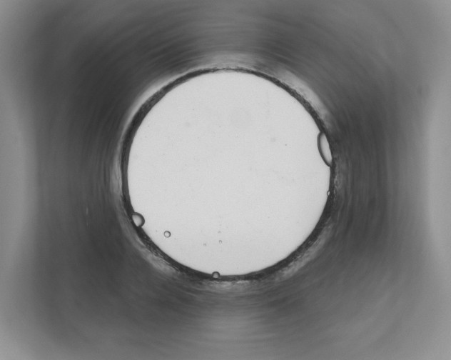 X0000111420936200908241129