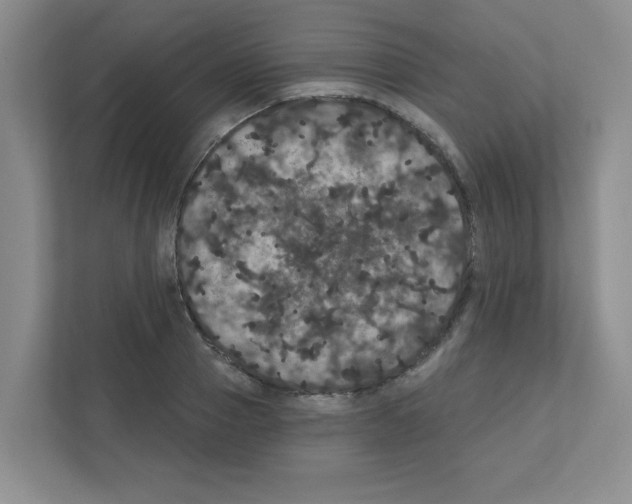 X0000111420937200908241129
