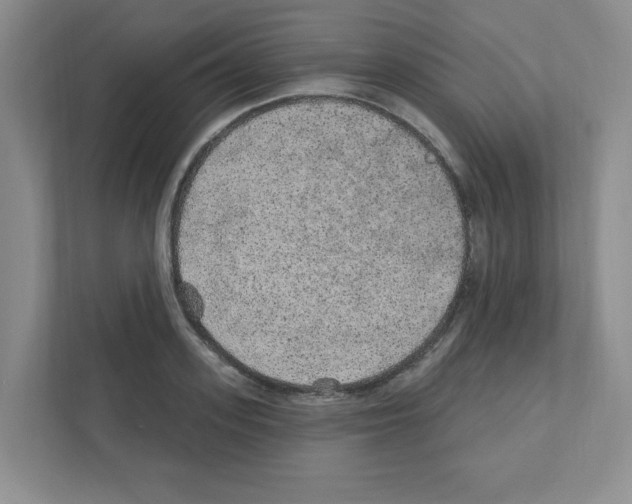 X0000111420939200908241129