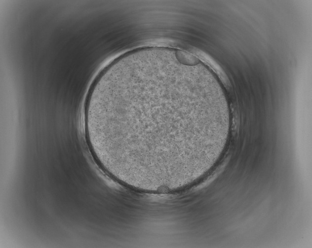 X0000111420940200908241129