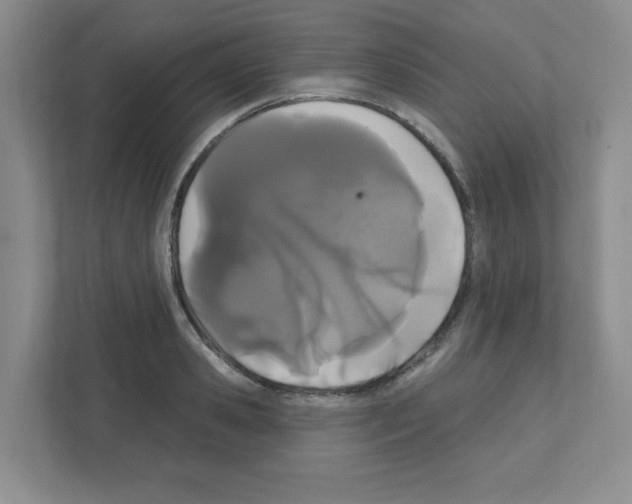 X0000111420941200908241129