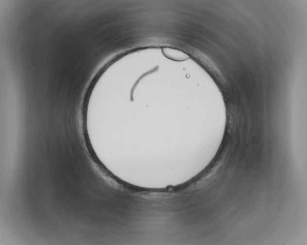 X0000111420942200908241129