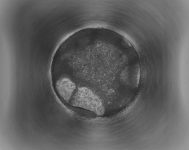 X0000111420943200908241129
