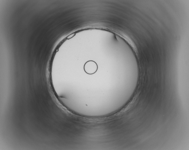 X0000111420944200908241129