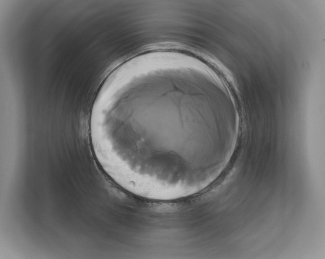 X0000111420945200908241129