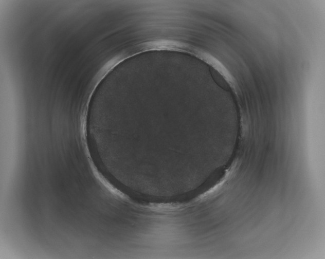 X0000111420946200908241129