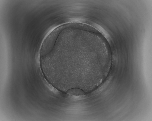 X0000111420948200908241129