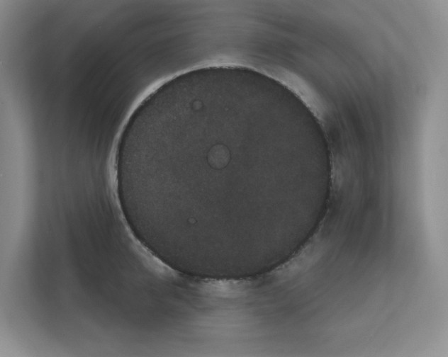 X0000111420950200908241129