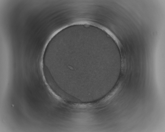 X0000111420951200908241129