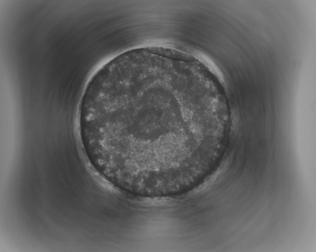 X0000111420952200908241129