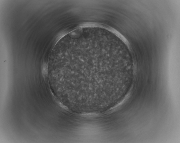 X0000111420953200908241129