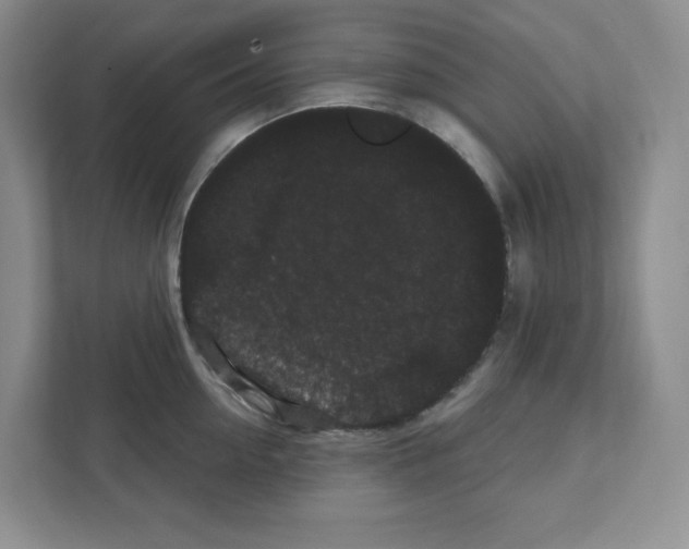 X0000111420954200908241129