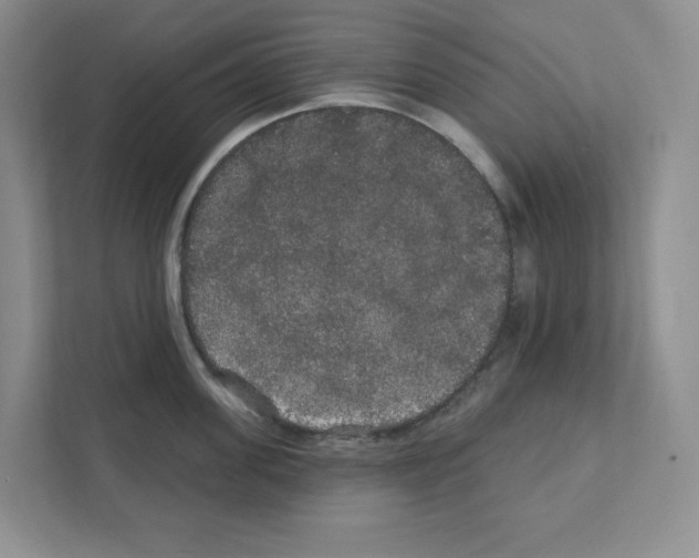 X0000111420955200908241129