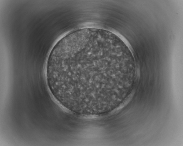 X0000111420957200908241129