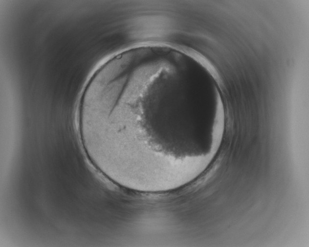 X0000111420958200908241129
