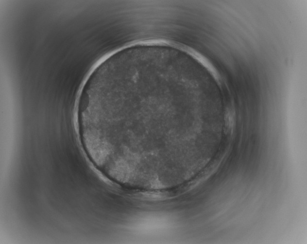 X0000111420959200908241129