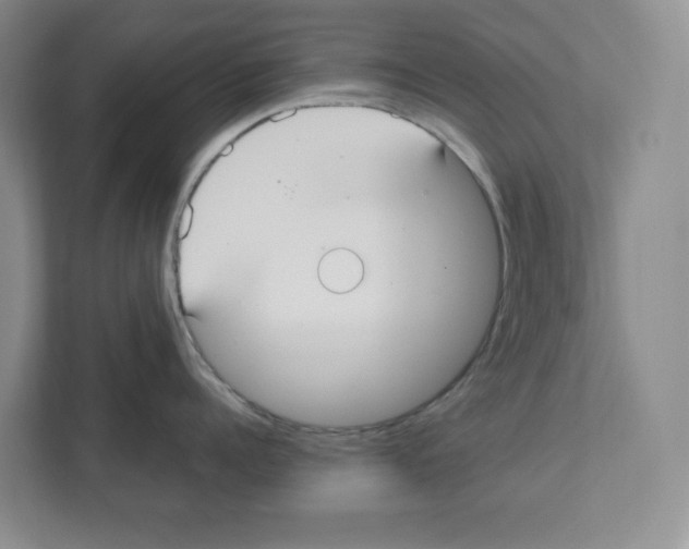 X0000111420960200908241129