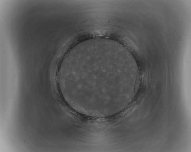 X0000111420961200908241129