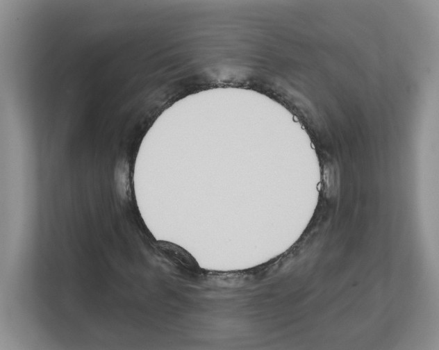 X0000111420963200908241129