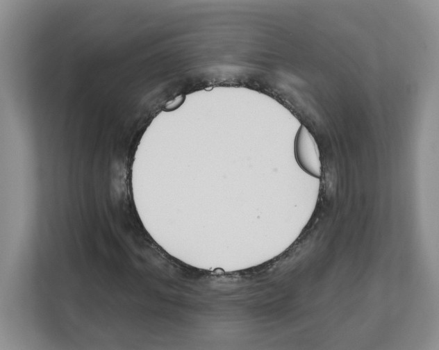 X0000111420964200908241129