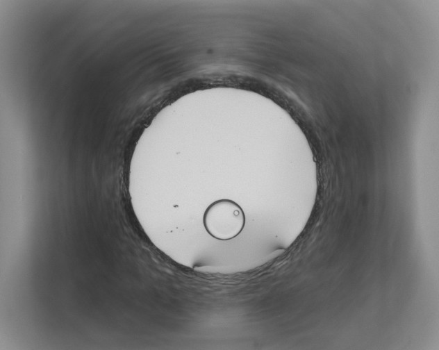 X0000111420965200908241129