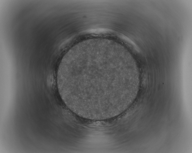 X0000111420966200908241129