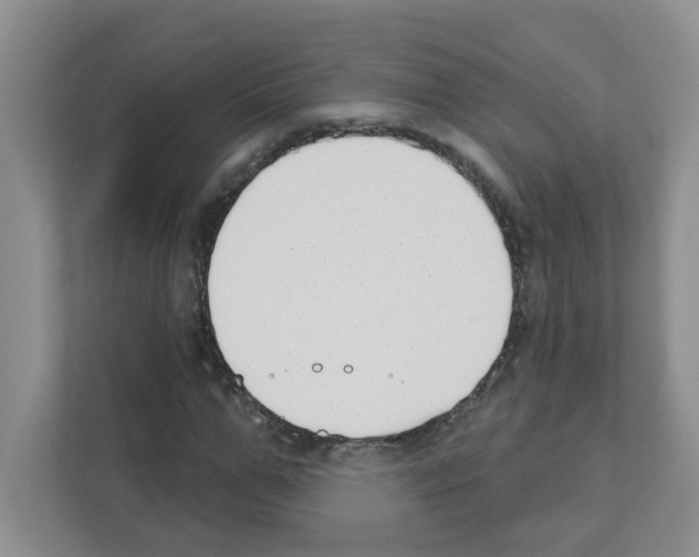 X0000111420967200908241129